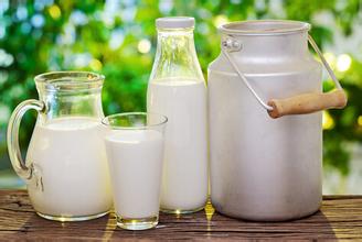 國產(chǎn)奶制品